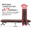 【アイリスオーヤマ】折りたたみ電動リクライニングベッド  シングルサイズ  OTB-FDN