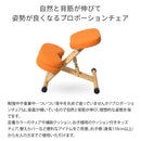 【お客様組立式】 プロポーションチェア全６色 CH-88W