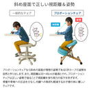 【お客様組立式】 プロポーションチェア全６色 CH-88W