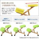 【お客様組立式】 プロポーションチェア全６色 CH-88W