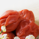 南高梅 梅恋詩 5粒入