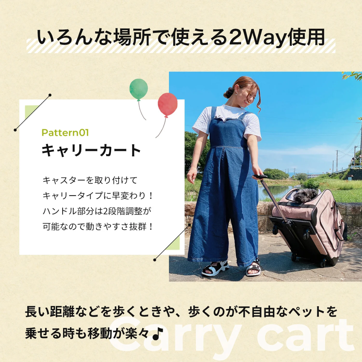 Sun Ruck 】 ハンドル付ペットキャリー グレー SR-PCR01-GY