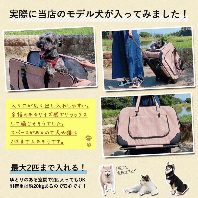 【 Sun Ruck 】<br>ハンドル付ペットキャリー<br>ネイビー<br> SR-PCR01-NV