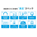 【 Sun Ruck 】 フィットネスバイク SR-FB801