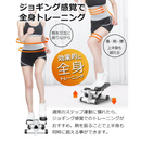 【 Sun Ruck 】 フィットネスステッパー SR-FT028