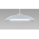HotaluX（NEC）　LEDペンダントライト（～8畳）HCDB0861-X