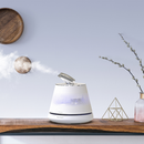 カルテック 美容加湿器 Yuragi潤水プルミエール KL-H01