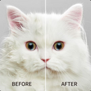 ペット用 ドライヤーハウス Drybo Plus ドライボ・プラス